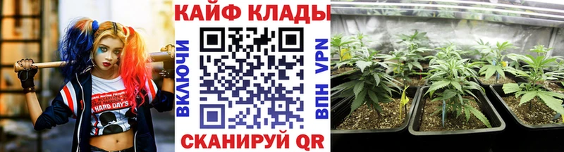 Где купить наркоту Каменногорск A PVP МАРИХУАНА COCAIN Мефедрон ГАШ