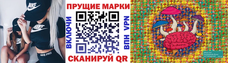 omg ссылка  как найти закладки  Каменногорск  Марки N-bome 1,5мг 
