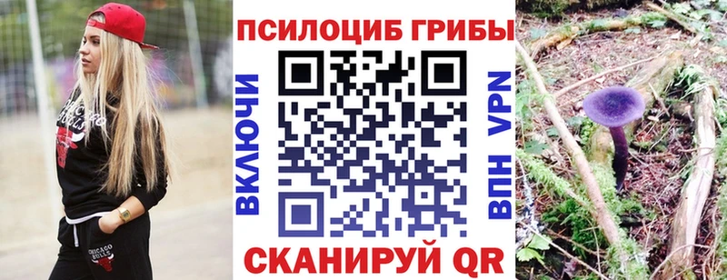 Псилоцибиновые грибы GOLDEN TEACHER  Каменногорск 