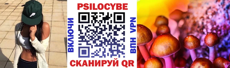 Галлюциногенные грибы мухоморы Каменногорск